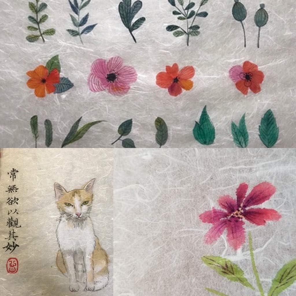 WellieSTR 10 Sheet Chinese Mulberry Rice Paper Xuan Paper 34x136cm Calligraphy Painting Paper