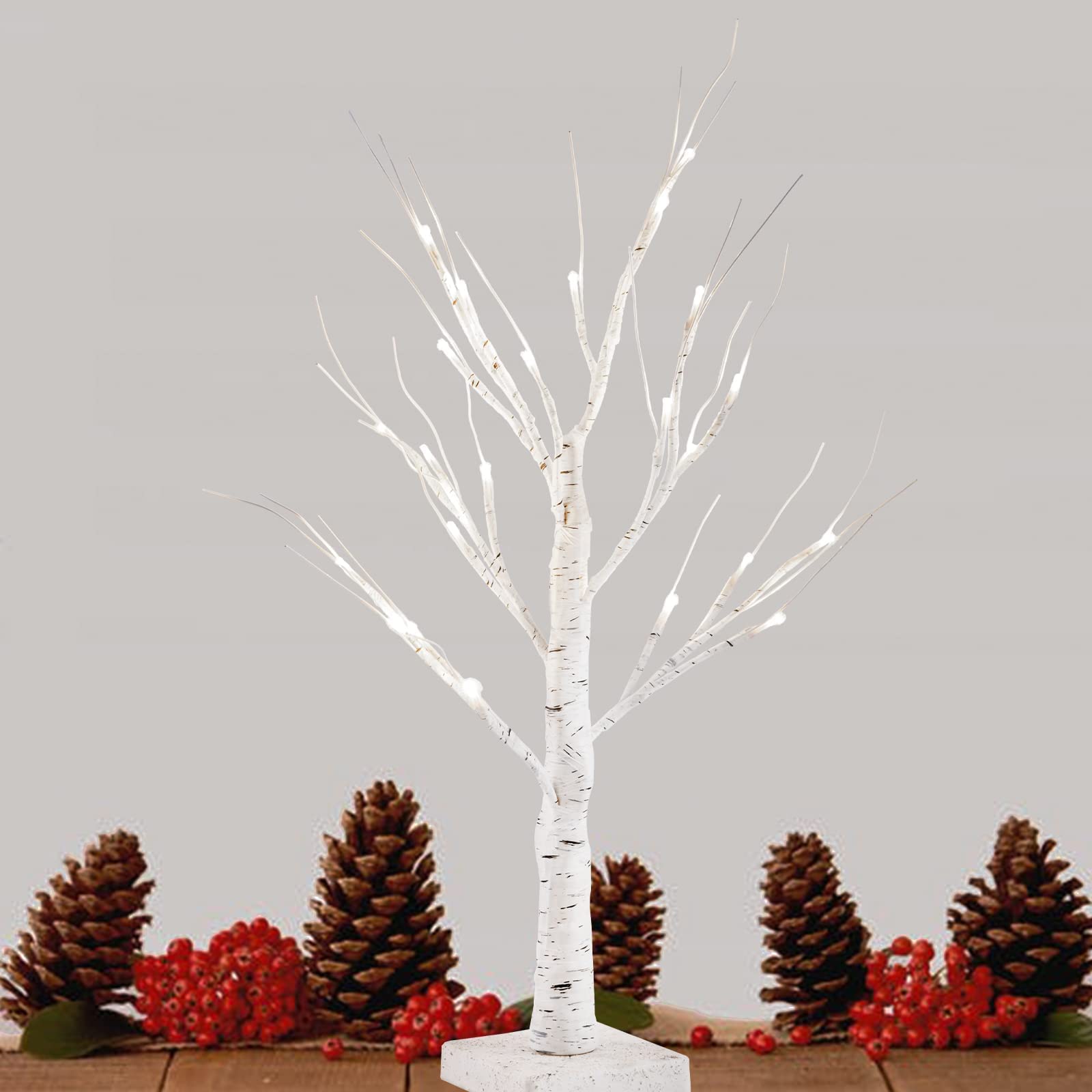 ESTTOP 24” 2FT Lighted Birch Tree with 24LT Warm White LEDs Battery Powered Timer Artificial Branch Tree for Chirstmas Decor Money Tree Gift Card Tree Home Party Festival Wedding Indoor Outdoor