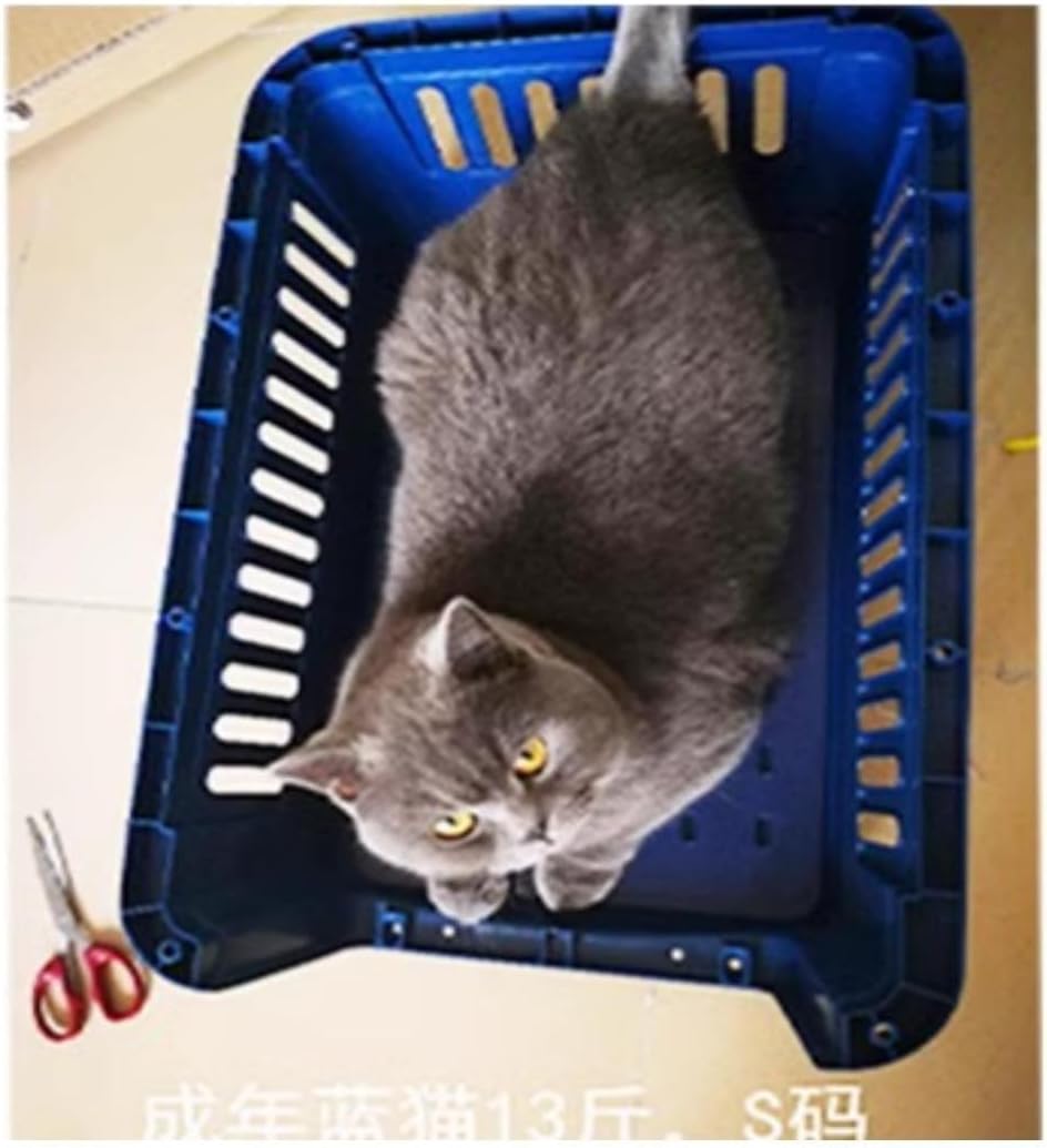 Cat Carrier, Portable Plastic Kennel for Dog Cat Cage, Pet Travel Carrier, Compliant Dog Crate for Pets 15-25lbs White & Blue, Press Type Door Lock Design，ABS Material，Small Size- No Wheel