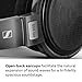 Sennheiser Consumer Audio HD 650 - Audiophile Hi-Res Open Back Dynamic Headphone, Titan