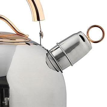 CALANDIS 2.64 Quart Whistle Kettle Anti-Scald Stainless Steel for Induction Cooker