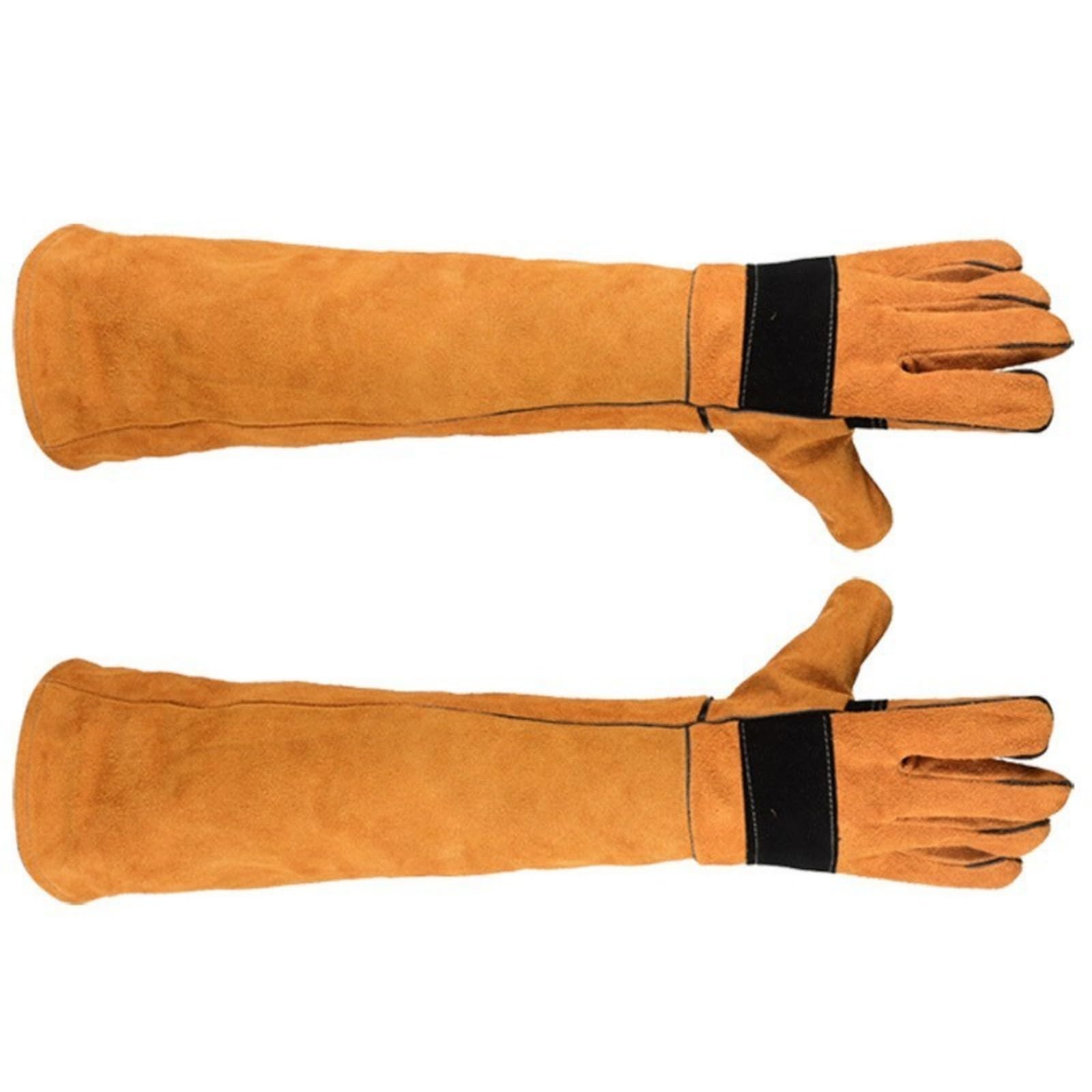 Gants de manipulation pour l'élagage des roses et chien
