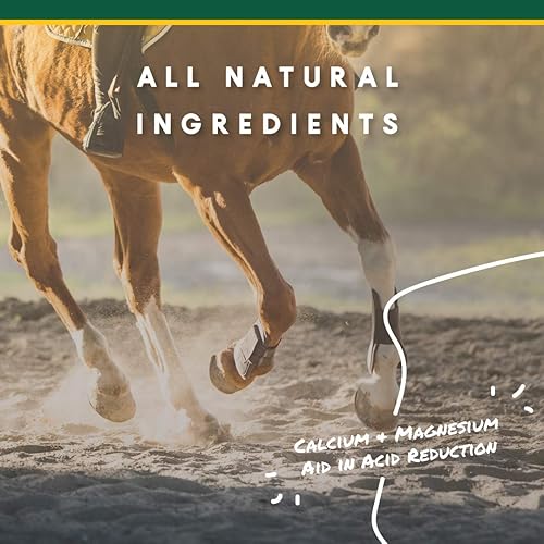 Miniatura 5 de Manna Pro Corta-Flx U-Gard Pellets Suplemento digestivo equino natural para mantener la salud gástrica Ayuda a prevenir la formación de úlceras