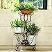 Produktbild BOBE Shop- Mehrstöckiger Innenraum Balkon Wohnzimmer Holzblumen Rahmen Blumentöpfe Grün Radix Orchidee Stand (Farbe : Bronze)