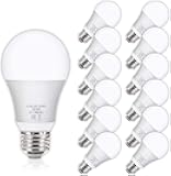Yochoice 12Pack A19 LED Light Bulbs 100 Watt Equivalent 5000K Daylight White, No Flicker E26 Medium Screw Base Bulbs, 1100Lumens, Non Dimmable