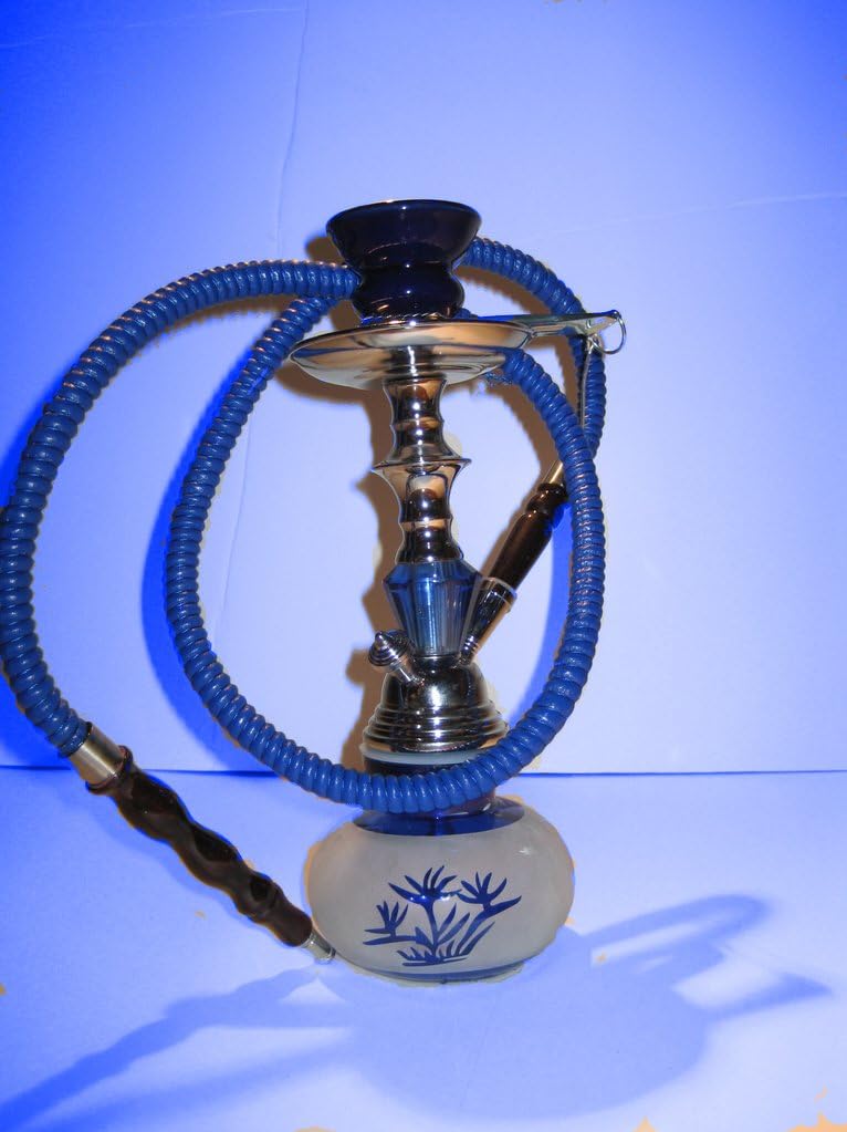 Small Hookah Palms Health & Household