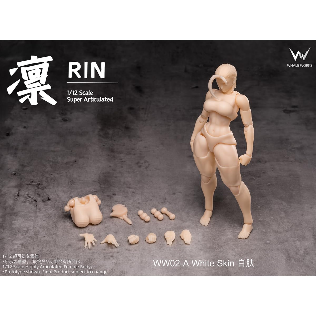 Amazon.co.jp: HiPlay 鯨工房 1/12 女性 素体 凛 RIN 美白肌 WW02-A