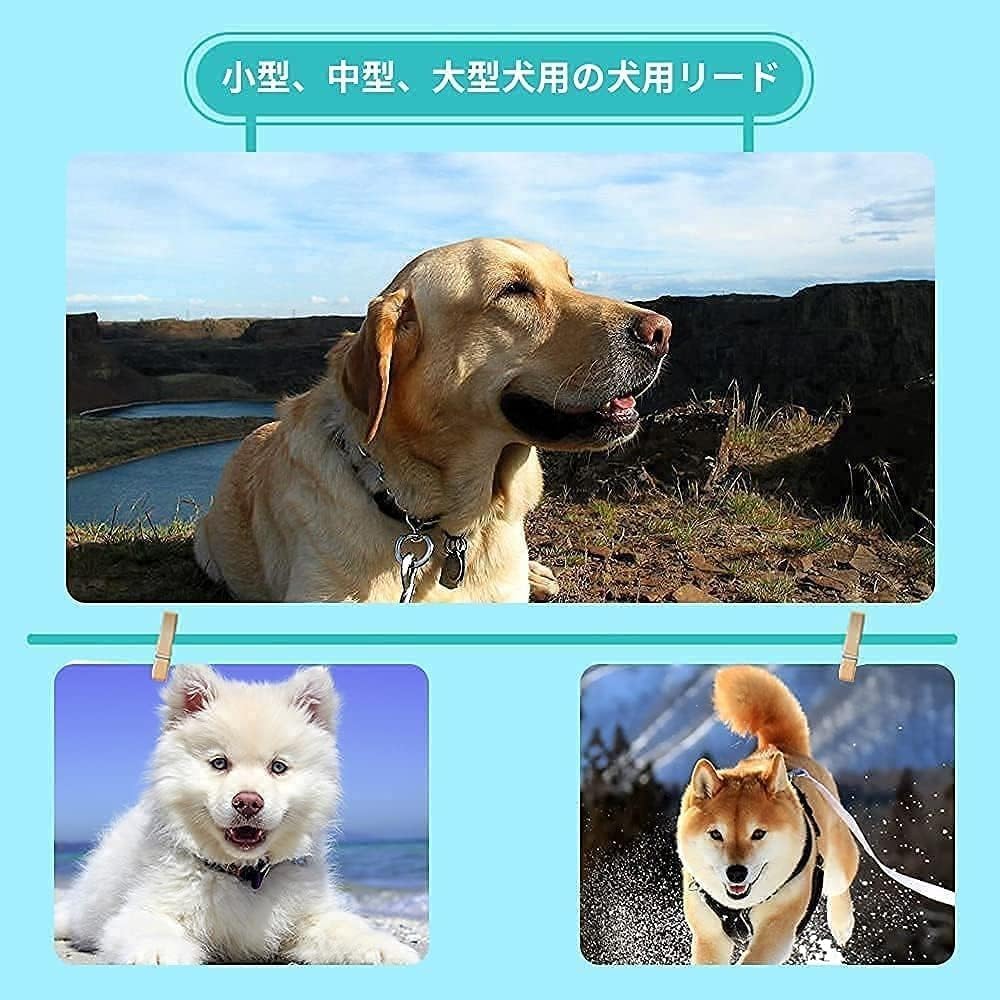 ロングリード 、絡みにくい犬 リード、トレーニング リード ロング、リード犬用、 犬 リード 中型犬、大型犬用リード、犬 りーど 小