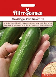 Dürr Samen 1115 Salatgurke Iznik F1 (Salatgurkensamen)