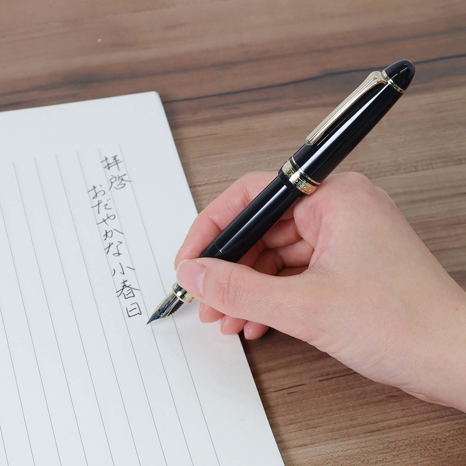Amazon | セーラー万年筆 プロフィットカジュアルL ステイブル