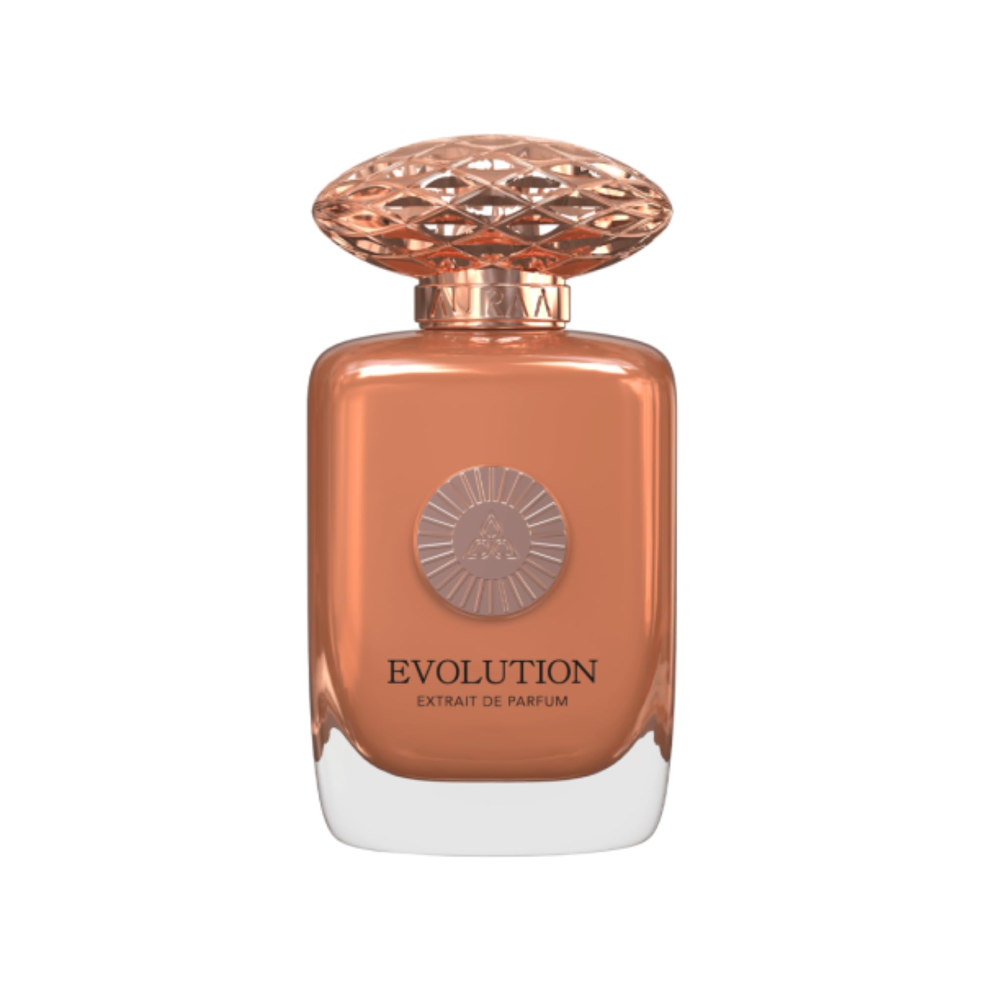 Future Collection Luxury Extrait de Parfum 100 ml by Savia Exclusive | Women Men Unisex Fragrances | Evolution Foresight Future Now Horizon Beyond Time & Destiny (Evolution)