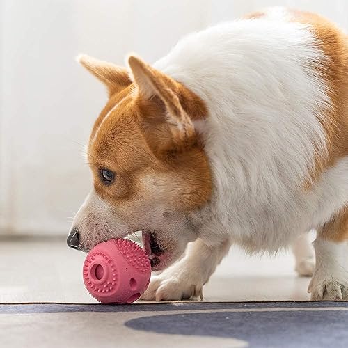 Miniatura 6 de PETSLA Pelotas chirriantes duraderas para perros pequeños y cachorros, bolas de goma para masticadores moderados, jugar a buscar y promover la salud
