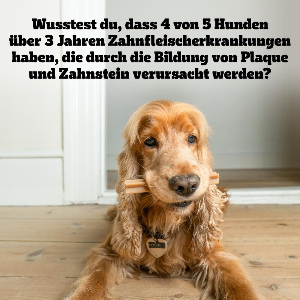 Pedigree DentaStix Hundesnack für große Hunde (25kg+), Zahnpflege-Snack mit Huhn und Rind, 4 Packungen je 28 Stück (4 x 1.08 kg)