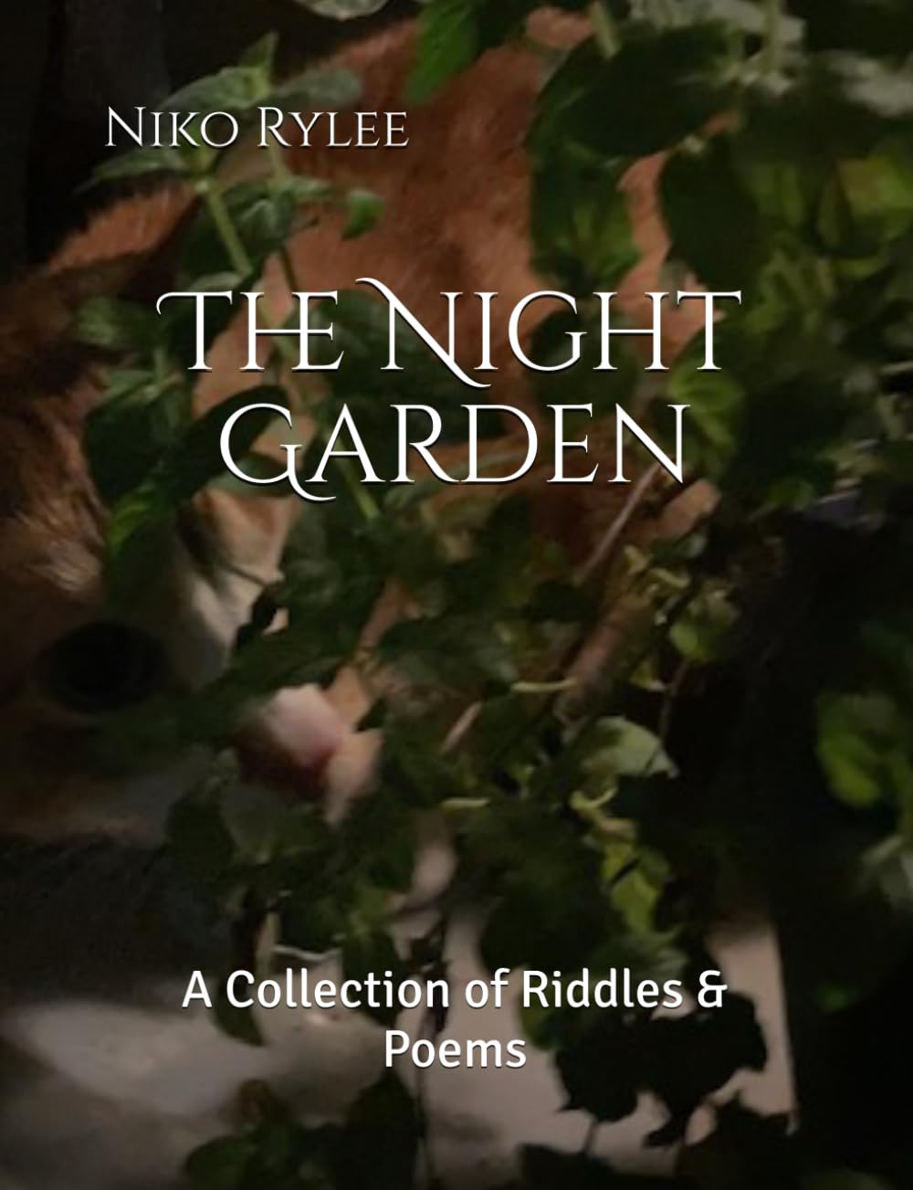 The Night Garden: A Collection of Riddles & Poems