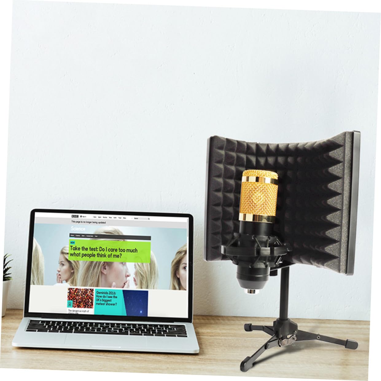 Toyvian 1set Microfono Anti-rumore Professionale Con Parabrezza Isolante Schermo Acustico Per Registrazioni Musicali e Produzioni Con Supporto Da Tavolo Per Uso Portatile e Ottimizzazione