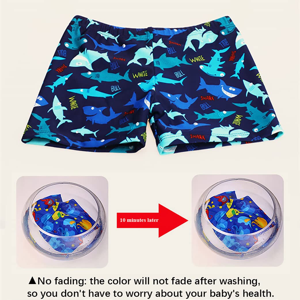 Lot de 2 maillots de bain pour garçons de 1 à 11 ans - Short de bain dinosaure requin