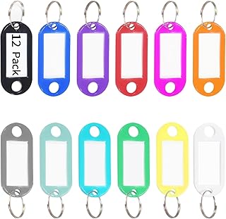 12 Pack Plastic Key Tags with Ring and Label Window, Key Labels Key Chain Name Tags ID Tags/Identifiers for Luggage, Bags, Suitcases, Backpack, 12 - Colors