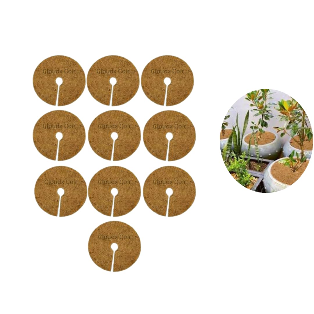 Cloudx Coir Coco Coir Mulch Mat (12inch -10 Pieces) | Coco Coir Fiber Mulch for Plants for Indoor or Outdoor Gardening | Coir Mat for Plants & Flower Pot (B0D5BZGMZK) Amazon Price History, Amazon Price Tracker