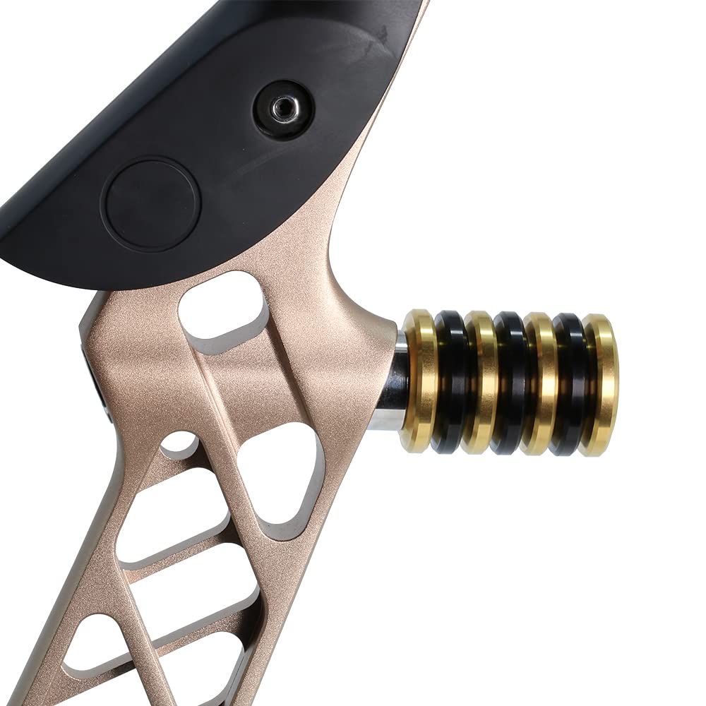 BICASTER Tiro con l'arco pesi stabilizzatore in acciaio inossidabile totale 10 oz