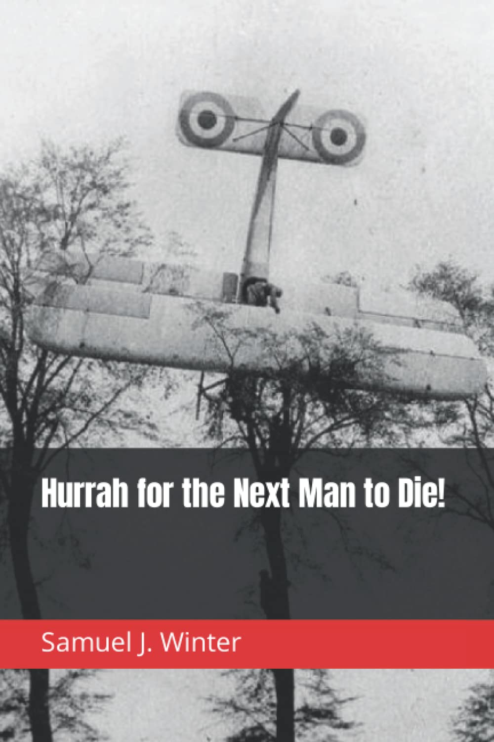 Hurrah for the Next Man to Die!