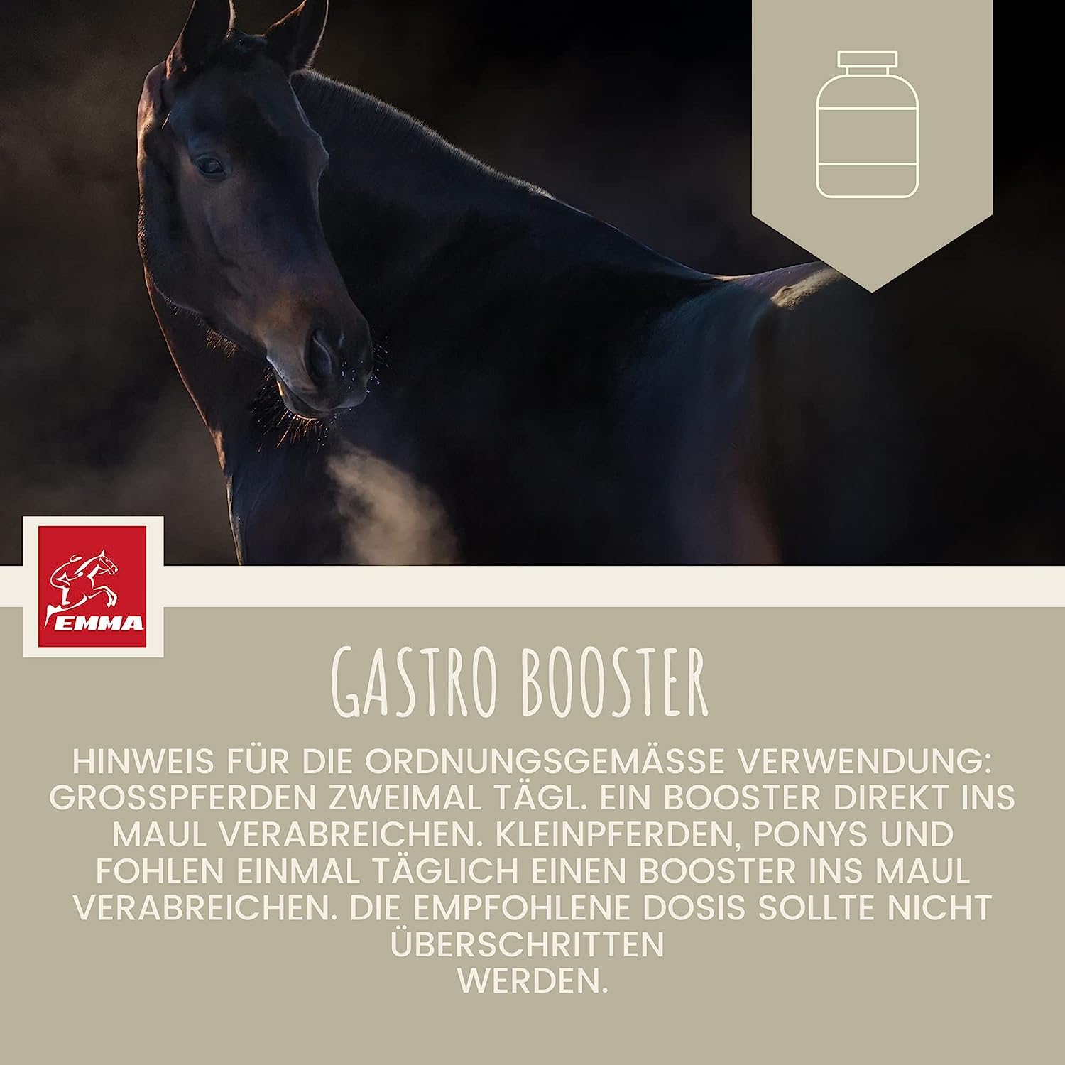 Caballo de refuerzo para el estómago, probióticos, levadura de cerveza, vitamina E, caballo, cultivos de levadura, microflora intestinal, tracto gastrointestinal, pasta de vitaminas I después de