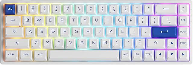 EPOMAKER AKKO 3068B Plus Blue & White 65% Hot-Swap 2.4Ghz /Bluetooth/Wired Mechanical Keyboard with RGB Backlight, Double-Shot PBT Keycaps for Gamers/Mac/Win