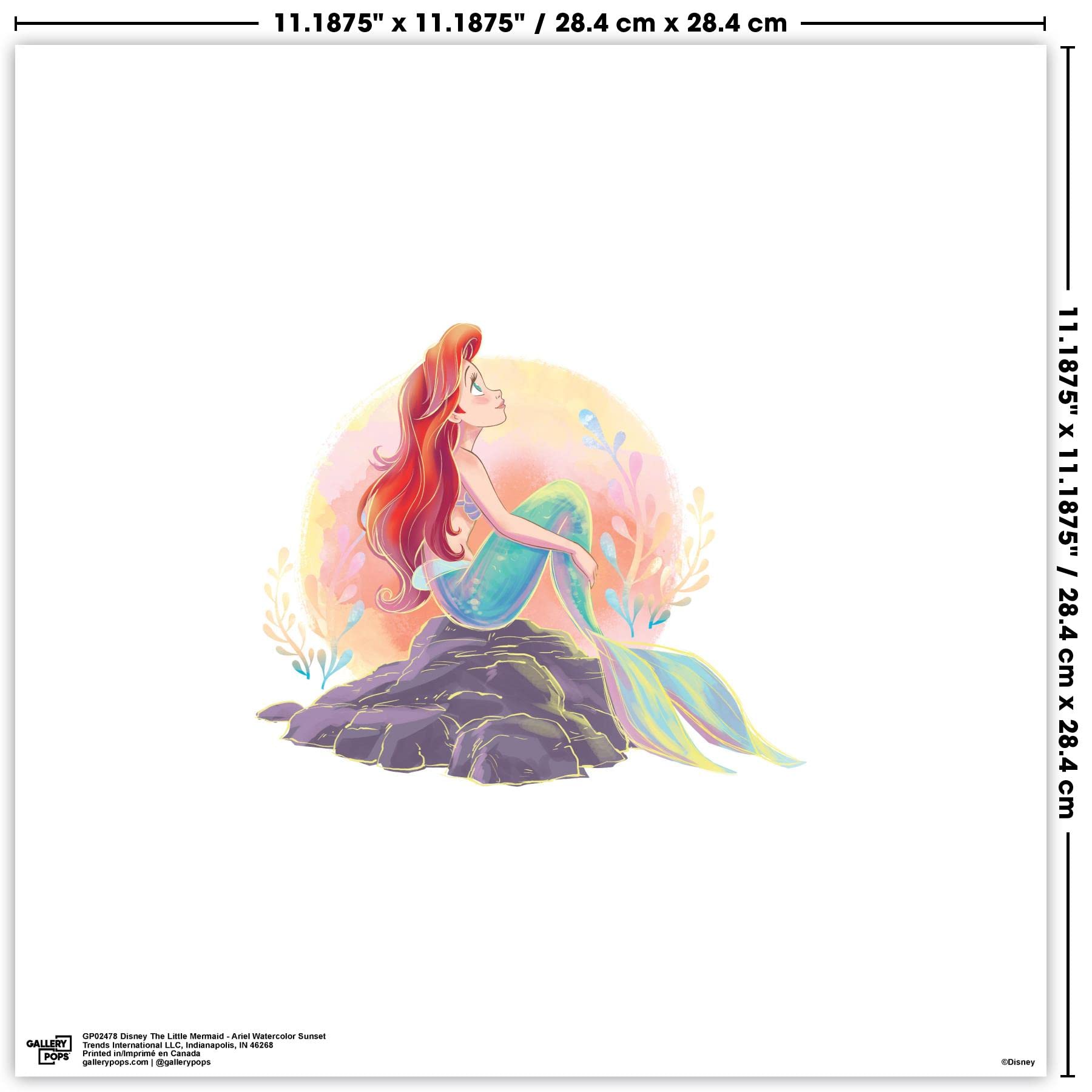 Amazon.co.jp: Trends International Gallery Pops ディズニー リトル