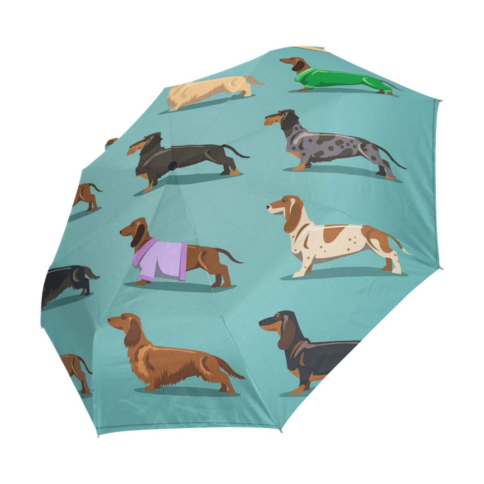 Poeticcity Dachshund Dogs Seamless on Turquoise Automatic Folding Umbrella, Auto Open/Close 3 Folds Parasol, Compact Windproof Strong Umbrellas for Travel Sun & Rain