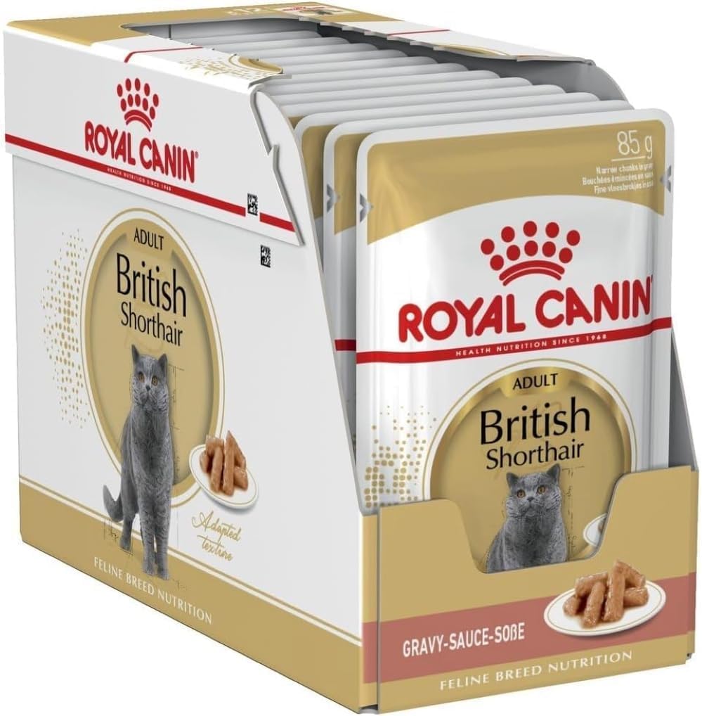 Royal Canin British Shorthair in GRAVY Wet Adult Cat Food (24 x 85g)