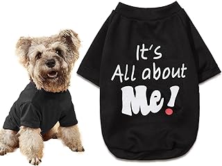 Funny Dog Shirts For Small Dogs Picks collage image 2