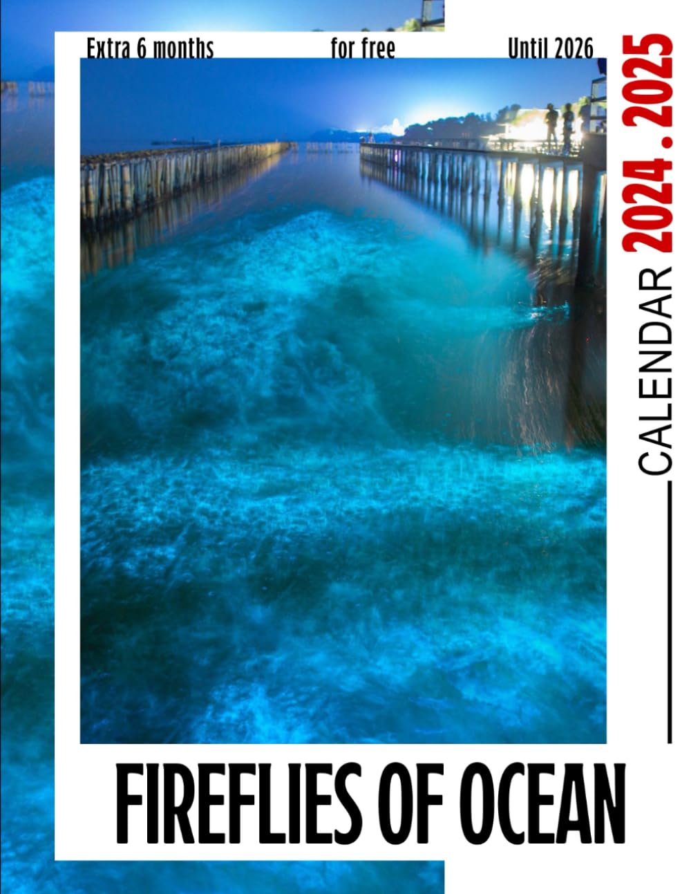 2024 - 2025 Calendar: Fireflies Of Ocean Calendar, Eco Friendly, Jan 2024 to Jun 2026, 30 Months, 17" x 22" Opened, Nighttime Glow, Stunning Marine ... Nature Enthusiasts, Canada Public Holidays