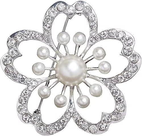 u[` ANZT[ RT[W p[u[` p[  Zj[ tH[} WG[ Ǝ w    fB[X C s v[g i rWlX