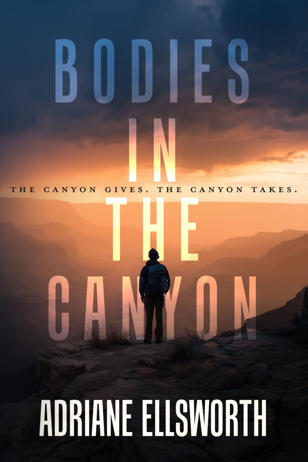 Bodies in the Canyon (Grand Canyon Thrillers)