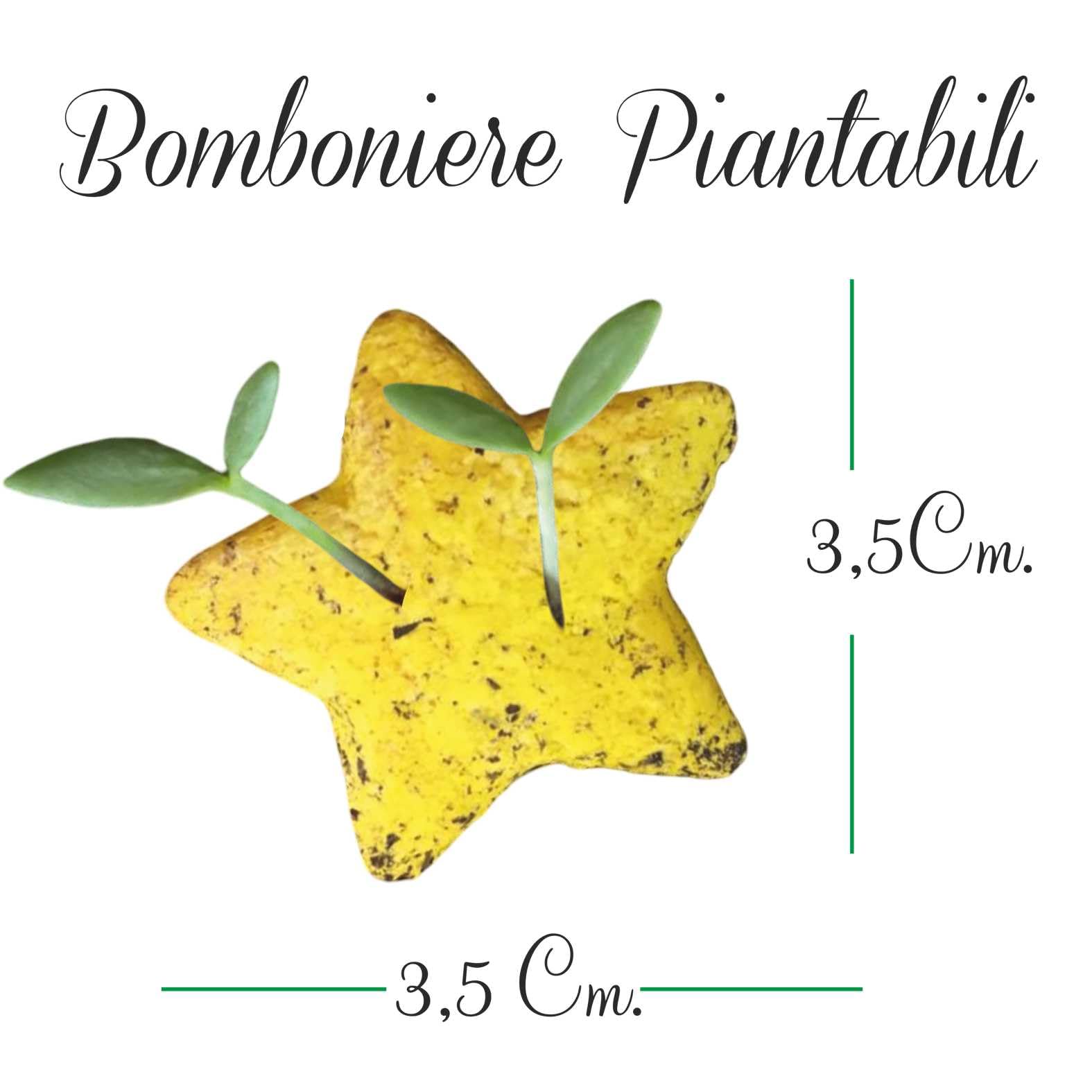 Generico 10 Bomboniere fioritura Piccolo Principe. Bomboniera cartoncino Piccolo Principe con Seme a Forma di Stella