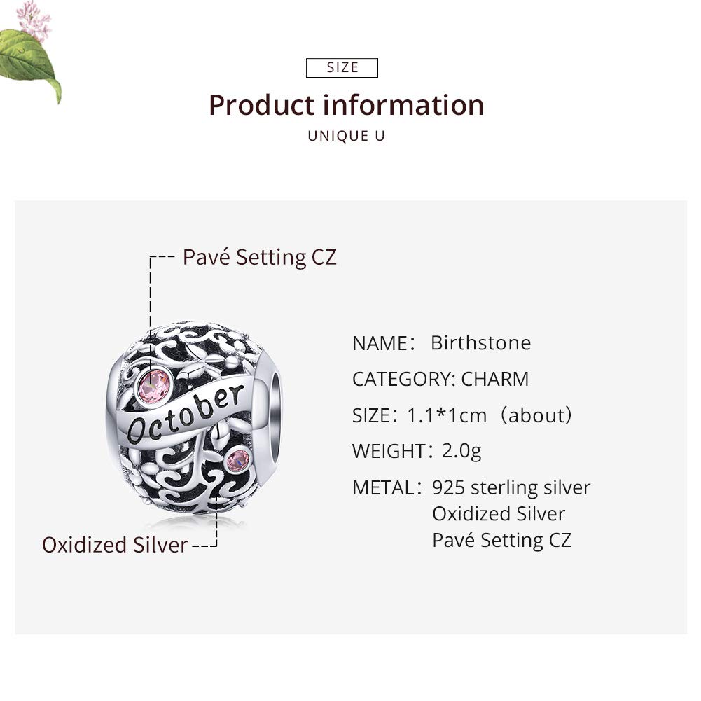 Lorrifal Ciondoli Originali in Argento Sterling 925 con Zirconia Cubica Pietra di Nascita Charm Portafortuna Adatti per bBraccialetti Pandora, Collane e Gioielli Perfetti per Compleanno