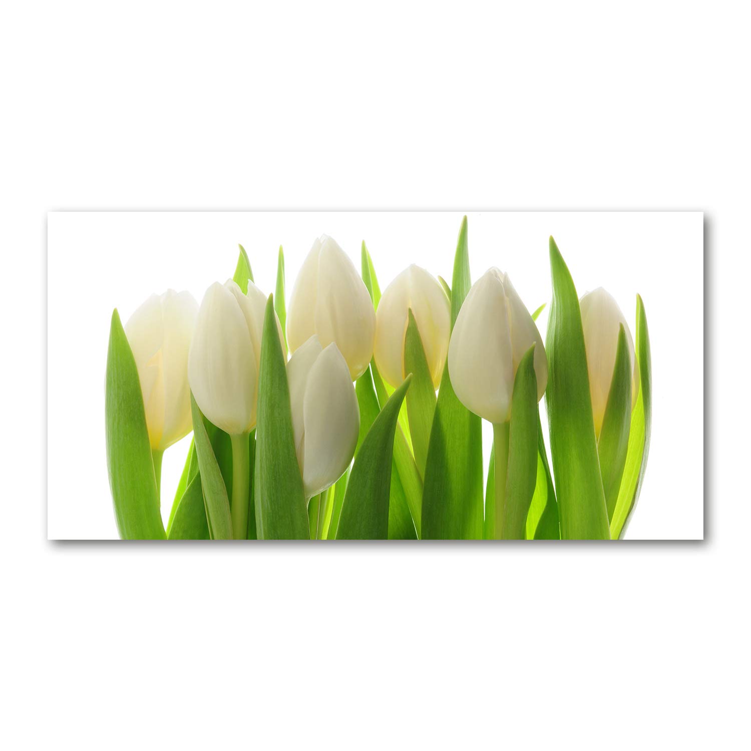 Tableau plexiglas Tulup 120x60cm pour remplacer les cadres fragiles | Décoration tulipes