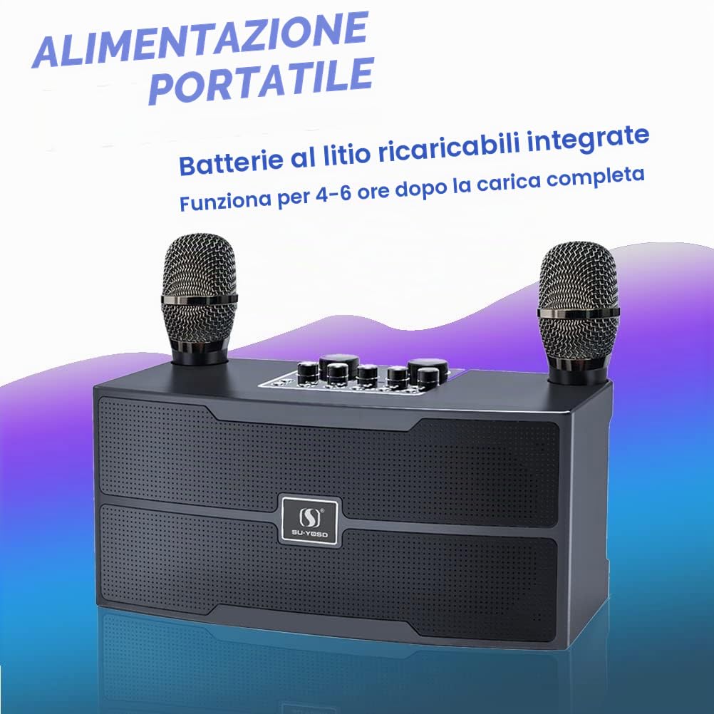 Karaoke Professionale 20W Con Microfono - Sistema PA Bluetooth Con 2 Microfoni Wireless HD - Cassa Per Riunioni Di Famiglia, Matrimoni
