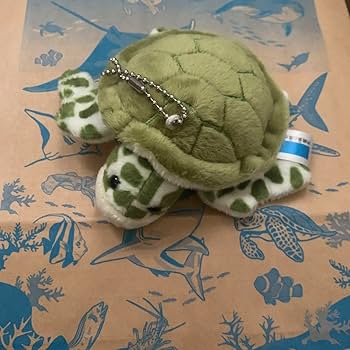 ウミガメ キーホルダー 水族館 美ら海水族館 ウミガメキーホルダー 新品 - メルカリ