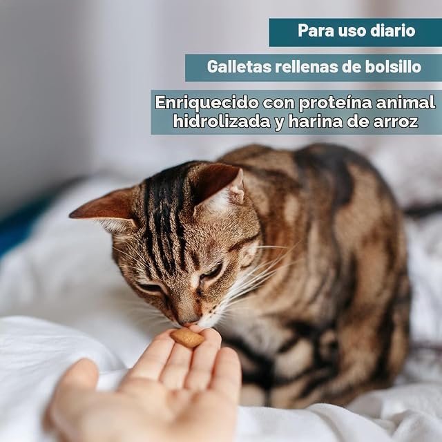 Foto 3 de 6 de AmeizPet Galletas Hipoalergénicas para Gatos–Snacks Crujientes 65g