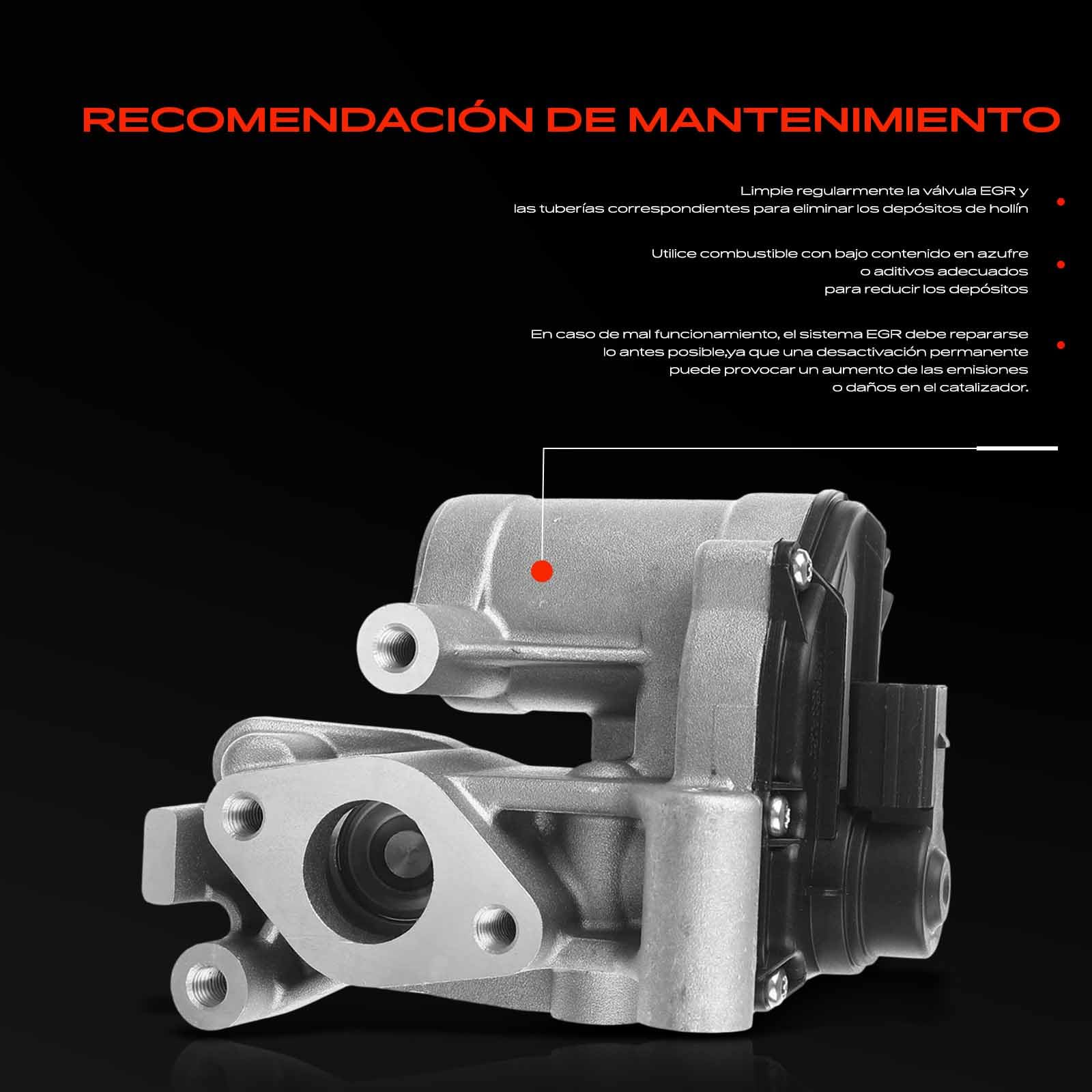 Frankberg Válvula EGR de 5 Polos 2231000QAA | Compatible con: Plataforma/chasis Movano X70, Volquete Movano H9, Autobús Interstar X70, Caja Interstar X70