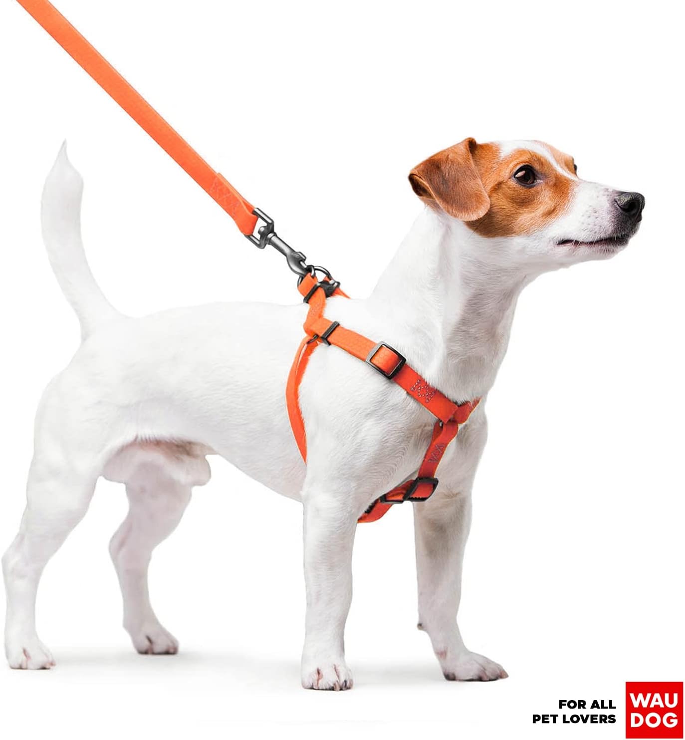 Waterproof Dog Harness 3/5 Wide Orange/Waterproof Dog Leash 4Ft Orange