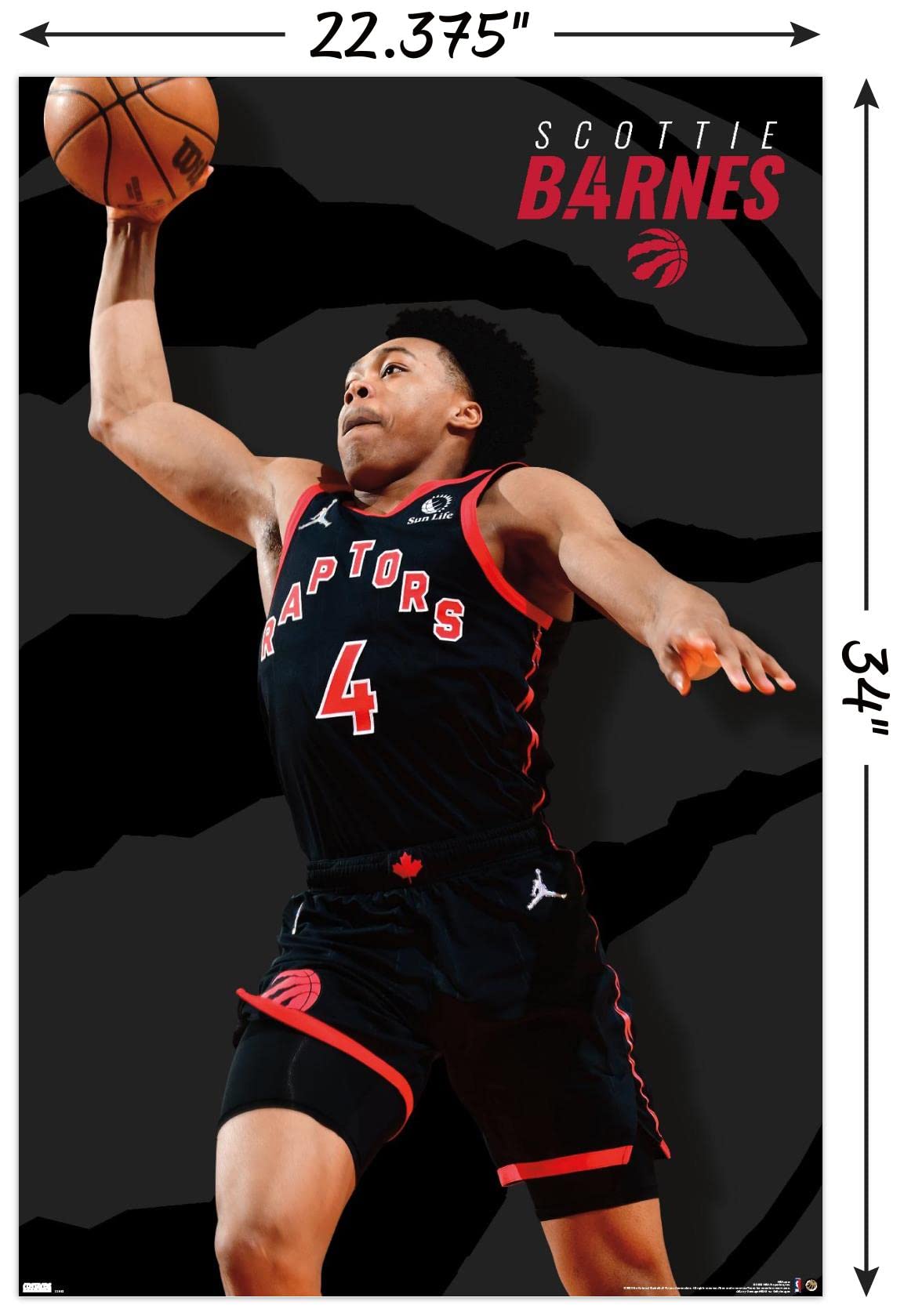 Amazon.co.jp: NBA トロント・ラプターズ スコッティ・バーンズ 22