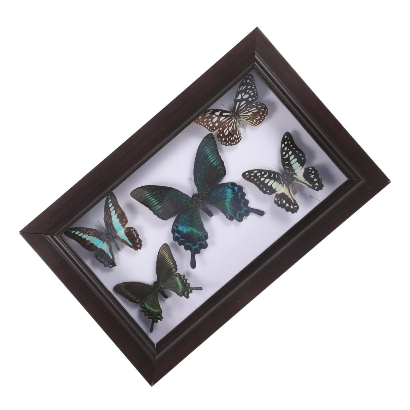 Caja para Mariposas Marco de Madera, Decoración de Pared para Sala de Estar y Espacios Pequeños, Arte DIY Diseño Funcional