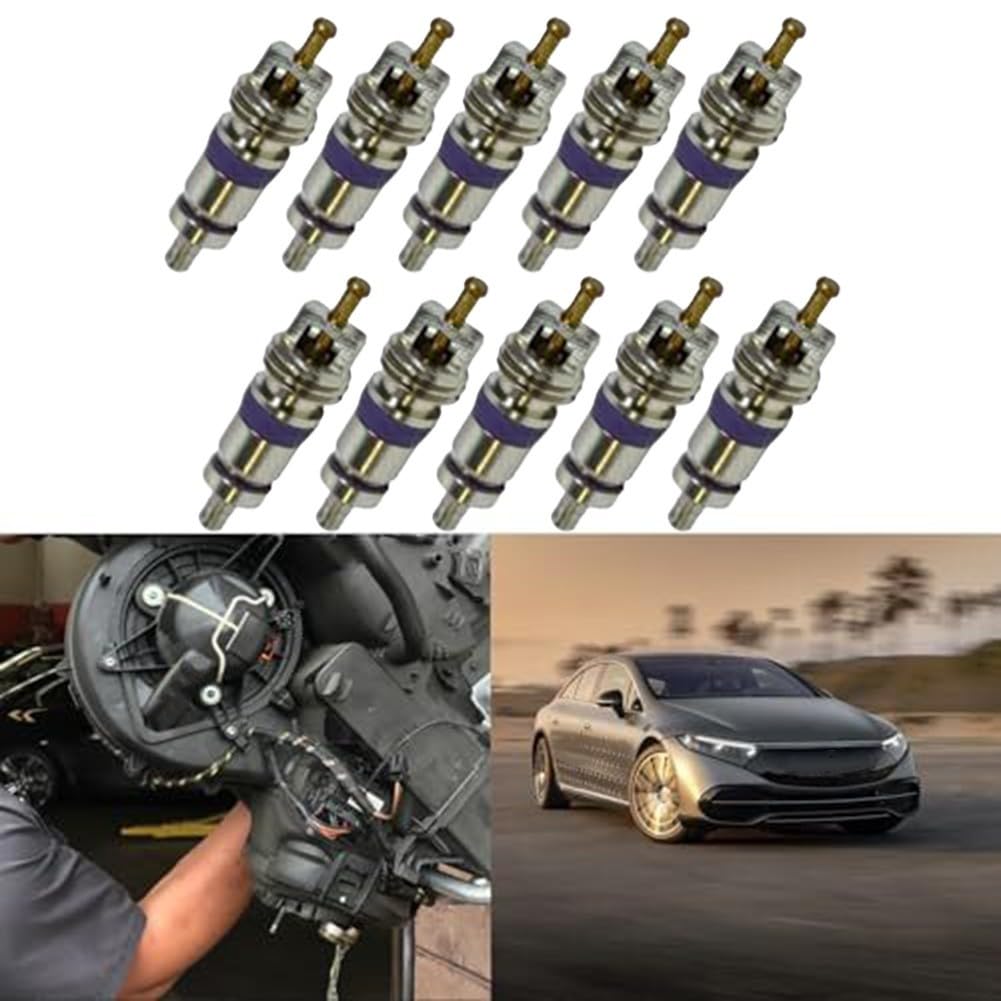 10 Stück große Bohrung A/C Ventilkern für BMW für Mercedes für Benz für Ford | AC-Ventil Ersatzteil kompatibel mit 8E0820855 64536922944 MT1544| Metallkonstruktion