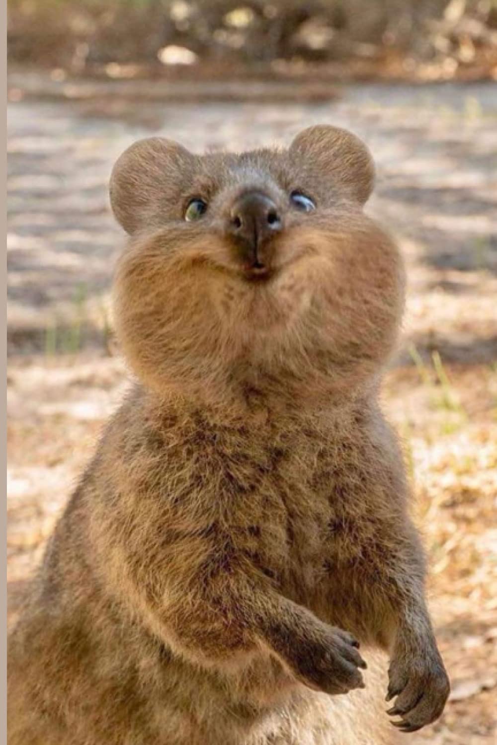 Cute Quokka Notebook
