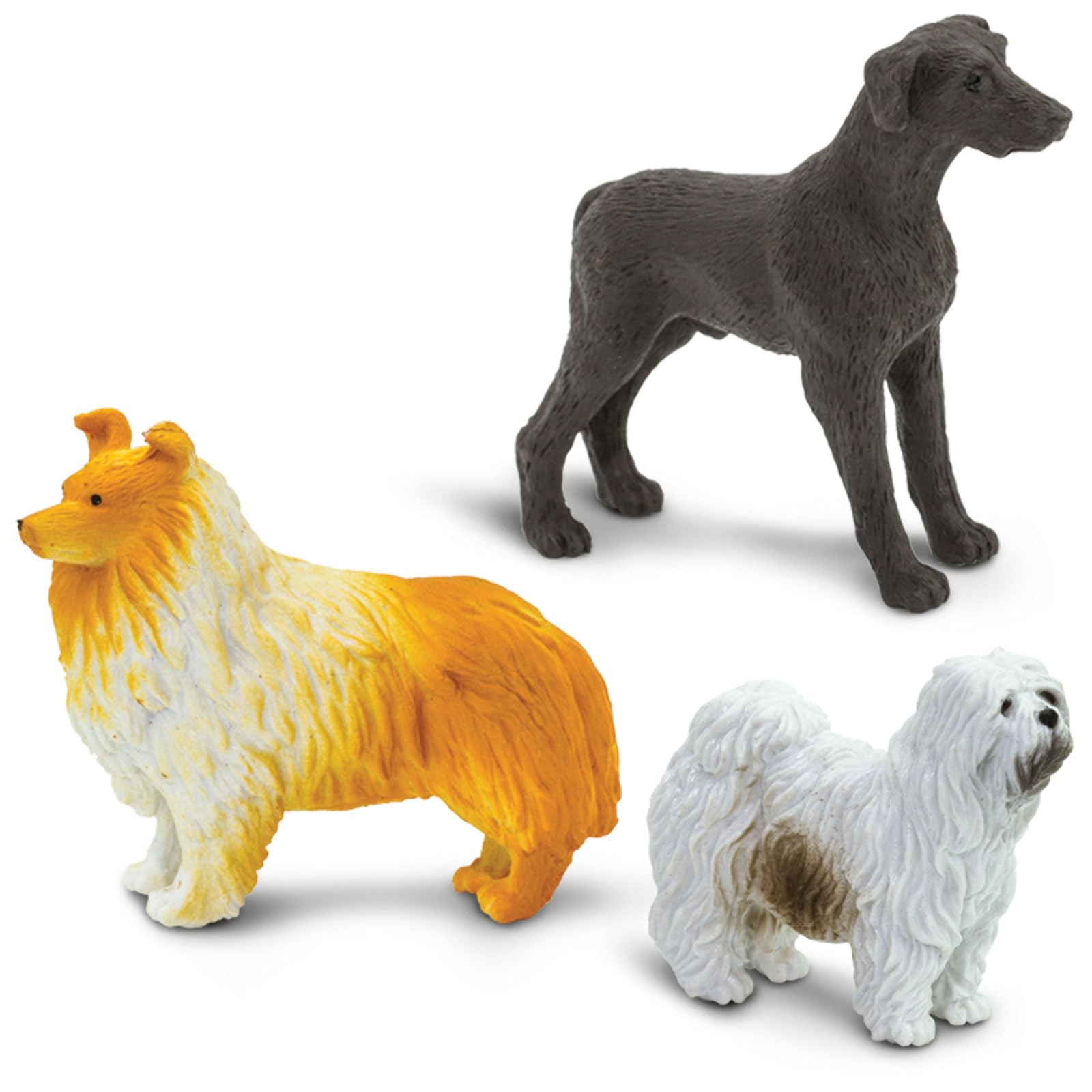 Amazon.com: Safari Ltd. Dogs Toob - Mini Figurines: Dachshund