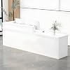 Reception Desk with Counter, Modern Front Desk with Storage, Cashier Counter for Office, Salon, Boutique, Coffee Shop, Store, Multiple Sizes & Colors