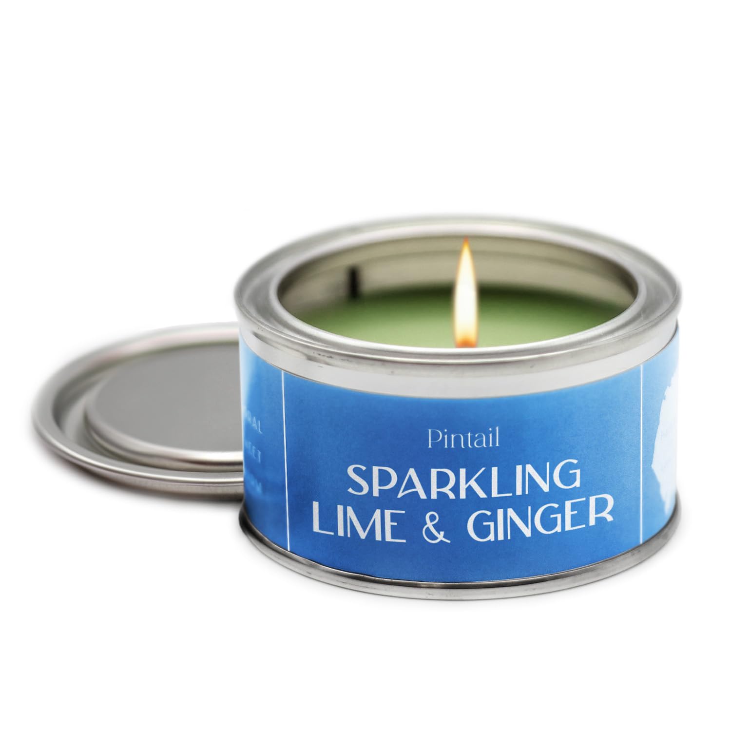 Pintail Candles Paint Pot Candle (Sparkling Lime & Ginger Home Fragrance) Scented Candles Long Burning (14 Hour Burn Time), Hand-Poured Scented Candles Gifts for Women - Genuine Pintail Candle Gift