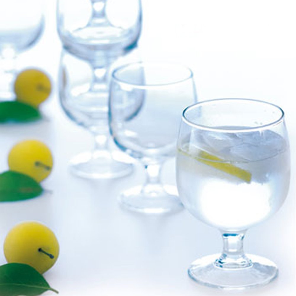 Arcoroc - Lot de 12 Verres à Pied Amélia de 25 cl