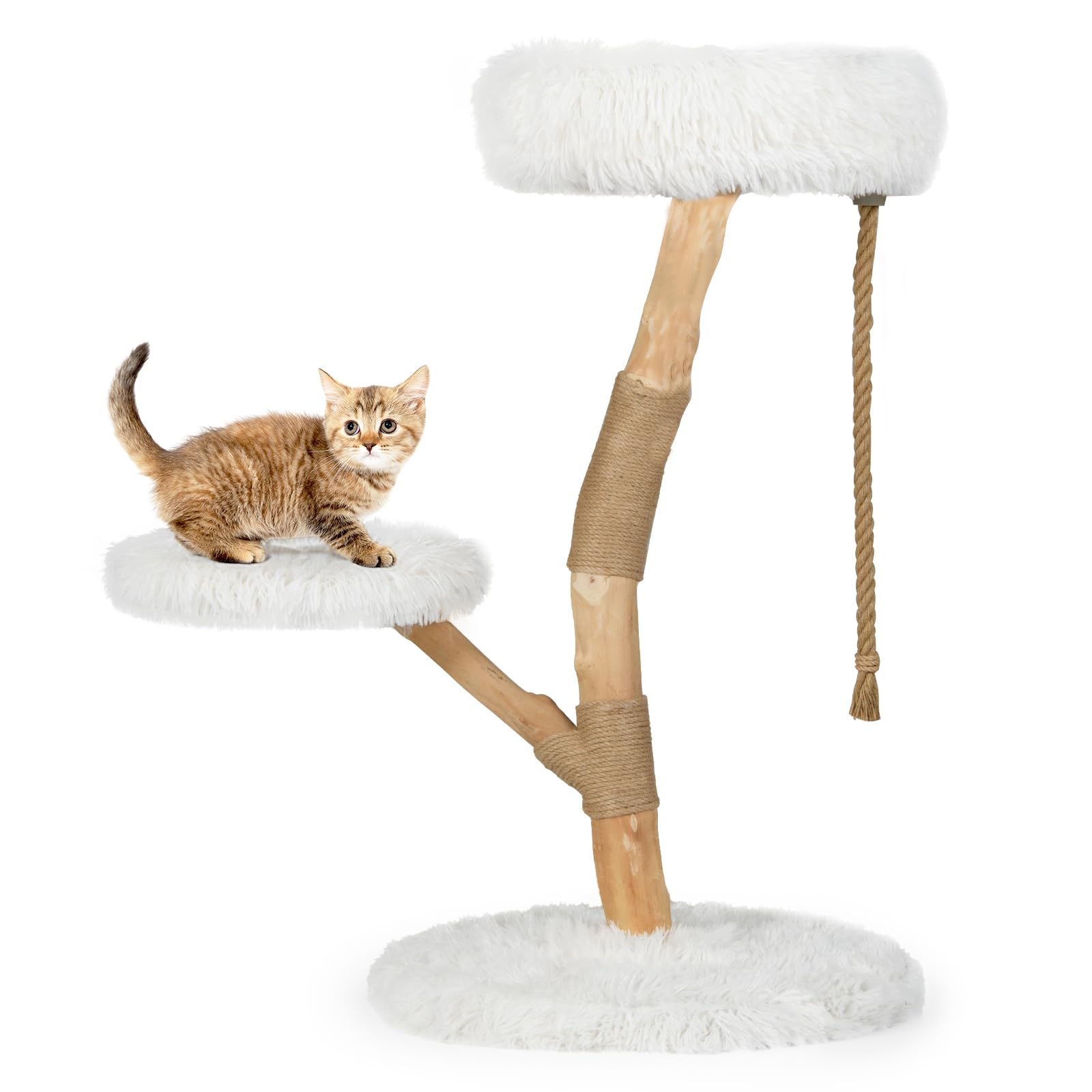 Arbre à chat compact 50x50x92 cm idéal pour le salon des chats d'intérieur